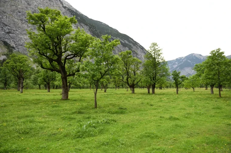 Landschaft – Großer Ahornboden,Tirol, Gebirge, Malerisch,Idyllisch, Frühling