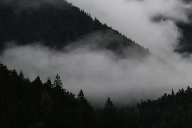 Landschaft – Plansee,Tirol,Österreich, Gebirge, Nebel, Sommer