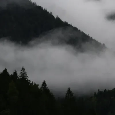 Landschaft – Plansee,Tirol,Österreich, Gebirge, Nebel, Sommer