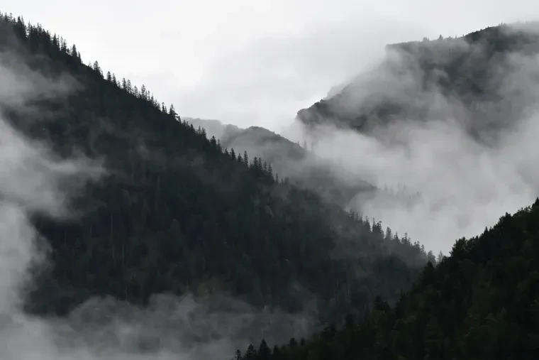 Landschaft – Plansee,Tirol,Österreich, Gebirge, Nebel, Sommer