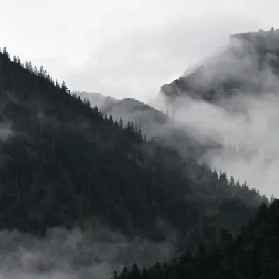 Landschaft – Plansee,Tirol,Österreich, Gebirge, Nebel, Sommer