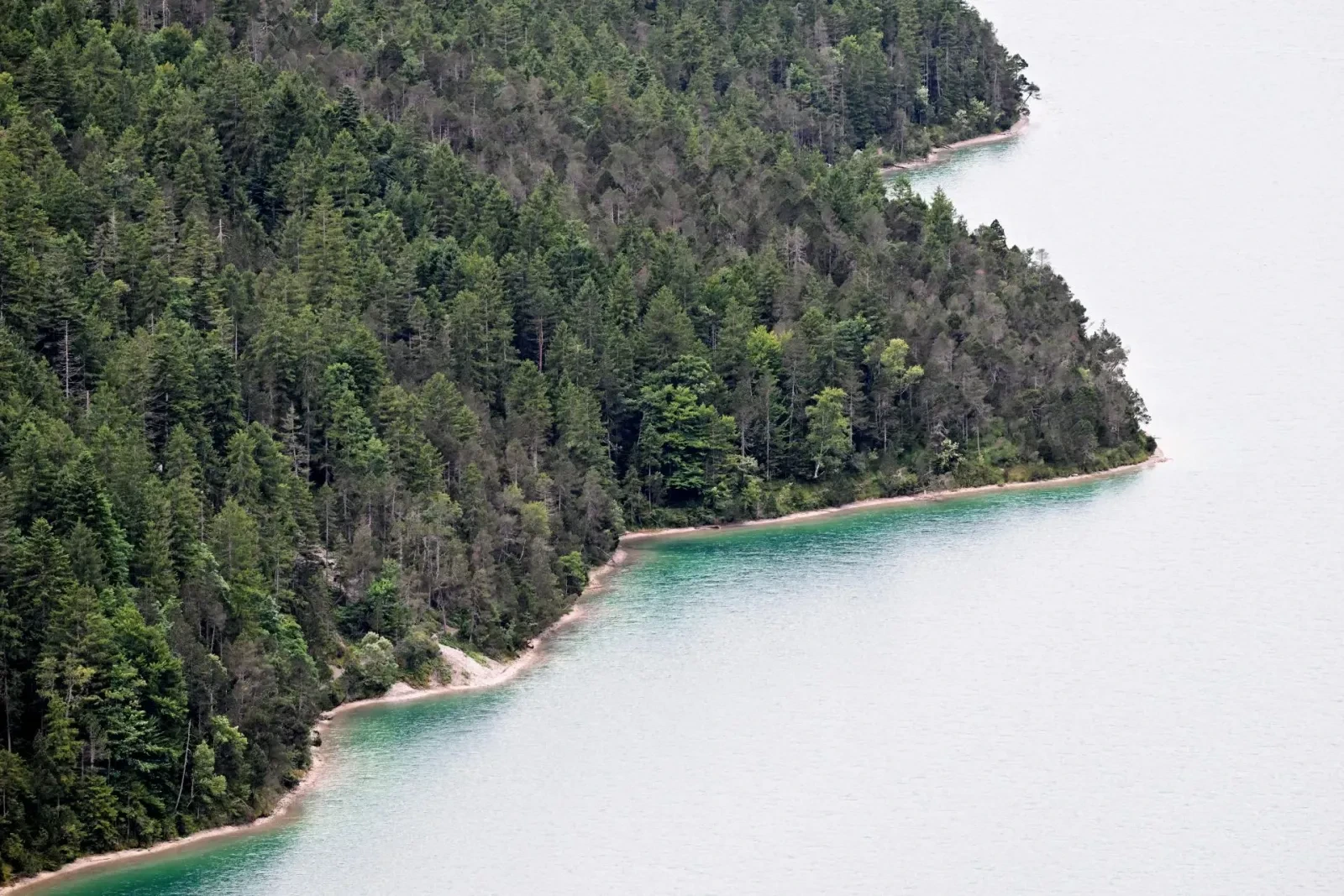 Feinste Fels- und Baumstrukturen an einer Bucht des Plansees in Tirol – der Dynamikumfang der Z8 hält Schatten und Lichter sauber zusammen