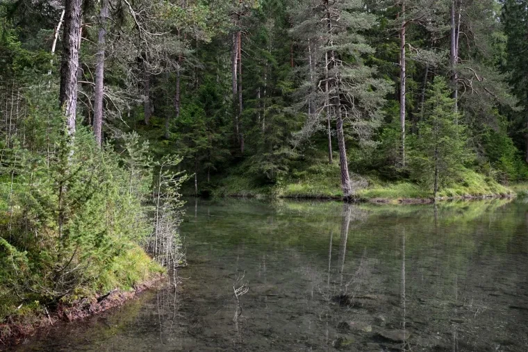 Landschaft – Tirol,Österreich, Wald, Spiegelung, Sommer