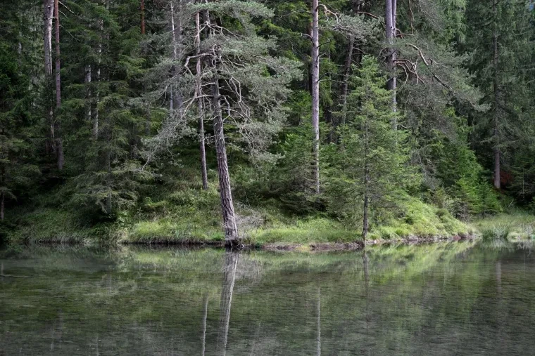Landschaft – Tirol,Österreich, Wald, Spiegelung, Sommer