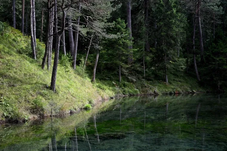 Landschaft – Tirol,Österreich, Wald, Spiegelung, Sommer
