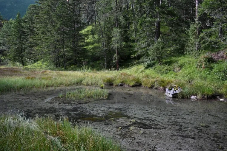 Landschaft – Tirol,Österreich, Moor, Sommer