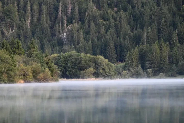 Landschaft – Heiterwanger See,Tirol,Alpen, See, Nebel,Spiegelung, Herbst