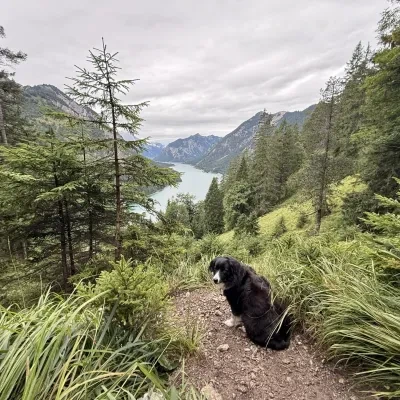 Landschaft – Plansee,Tirol,Österreich, Sommer