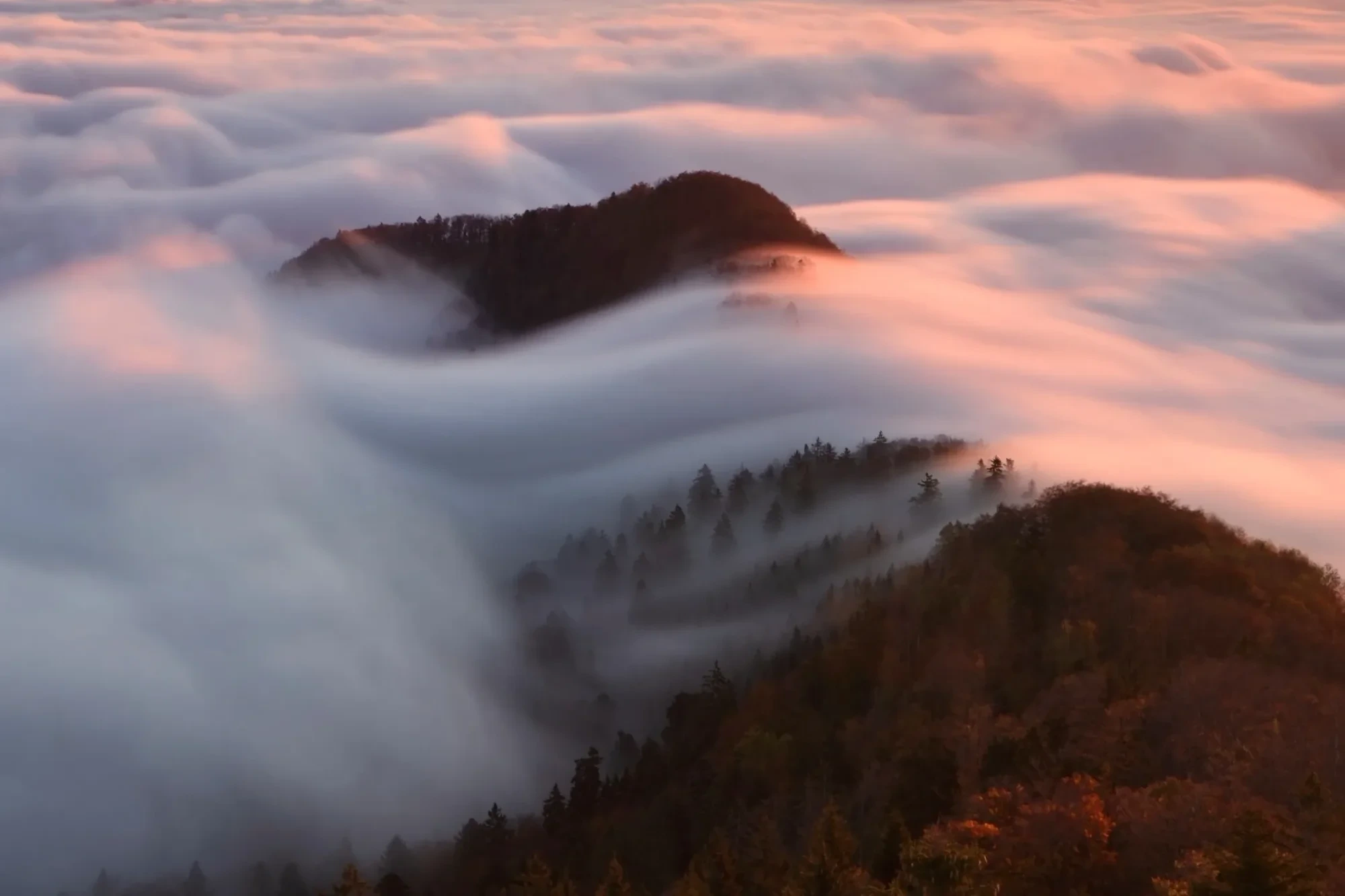 Landschaft – Belchenflue, Gebirge, Sonnenaufgang,Nebel,Dramatisch,Malerisch, Herbst