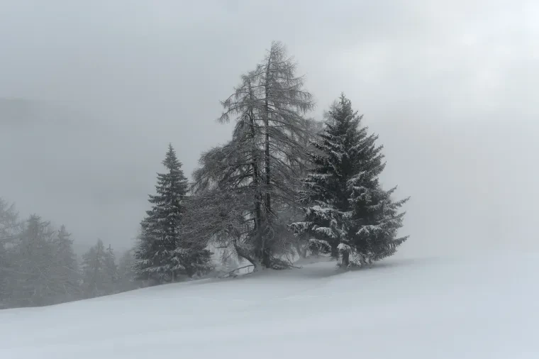 Landschaft – Graubünden, Wald, Nebel,Mystisch, Winter