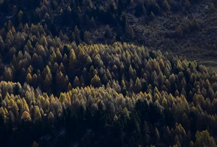 Landschaft – Engadin, Wald,See, Malerisch,Idyllisch, Herbst