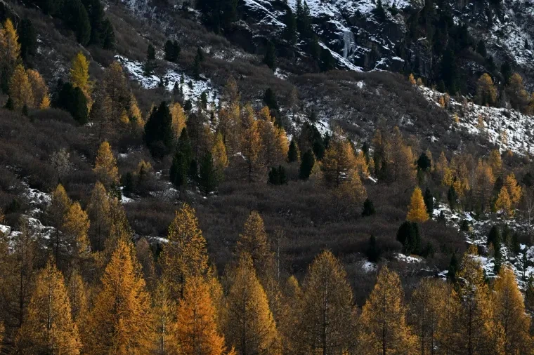 Landschaft – Engadin, Gebirge, Dramatisch,Mystisch, Herbst