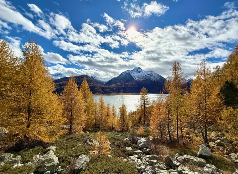 Landschaft – Engadin, Gebirge,See,Wald, Malerisch,Idyllisch, Herbst