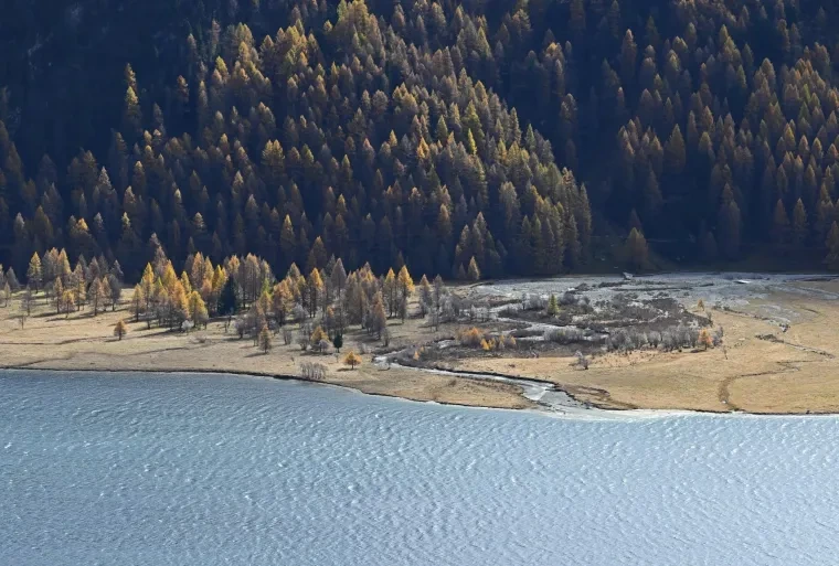 Landschaft – Engadin, Gebirge,Wald, Malerisch,Idyllisch, Herbst