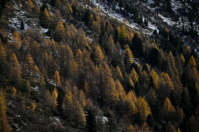 Landschaft – Engadin, Gebirge, Malerisch,Dramatisch, Herbst