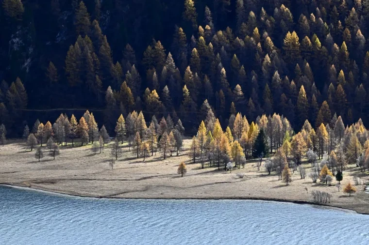 Landschaft – Engadin, Gebirge,Wald, Malerisch,Dramatisch, Herbst