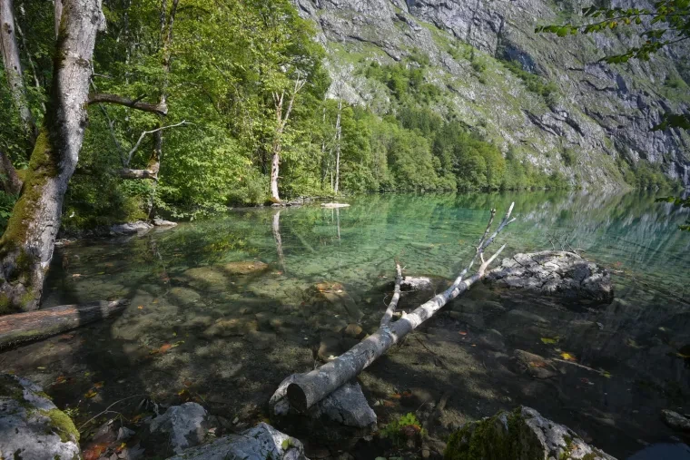 Landschaft – Berchtesgadener Land,Obersee, See, Malerisch, Herbst