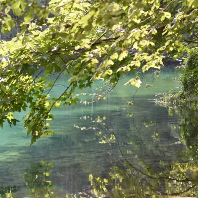Landschaft – Berchtesgadener Land,Obersee, See, Malerisch, Herbst