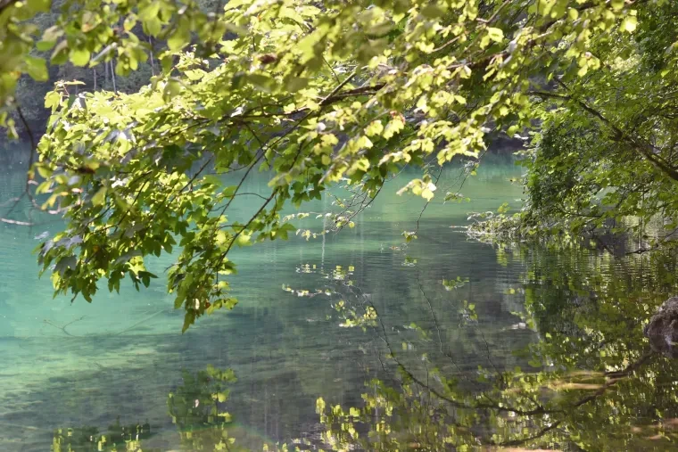 Landschaft – Berchtesgadener Land,Obersee, See, Malerisch, Herbst