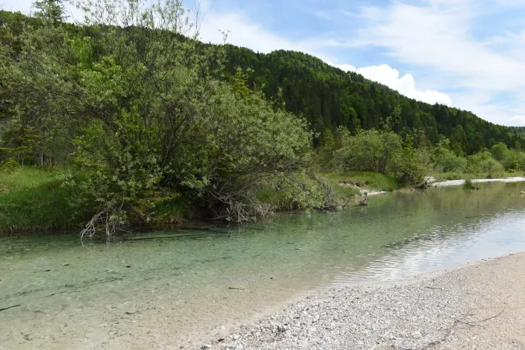 Landschaft – Garmisch Partenkirchen, Flusslandschaft, Malerisch, Frühling