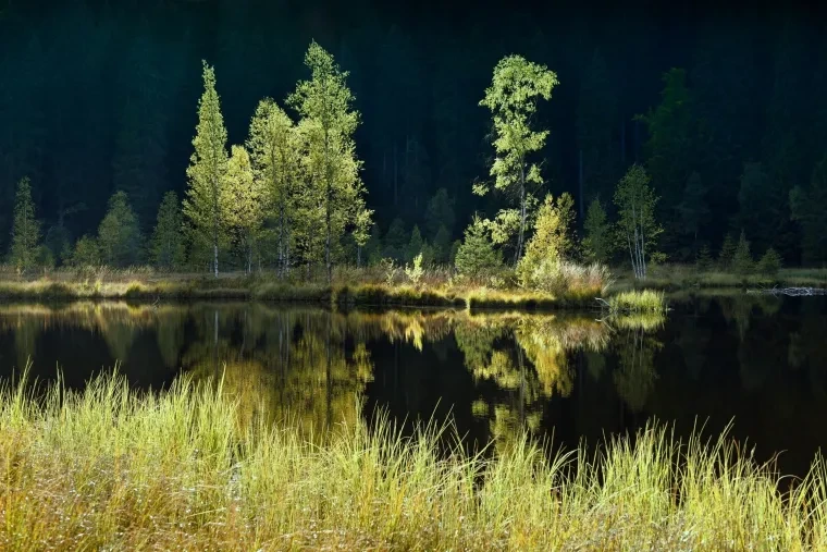 Landschaft – Buhlbachsee,Schwarzwald, See, Malerisch,Dramatisch, Herbst