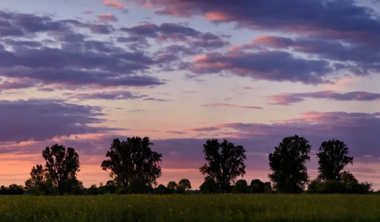 Landschaft – Ortenau, Wiese, Sonnenuntergang,Malerisch, Frühling