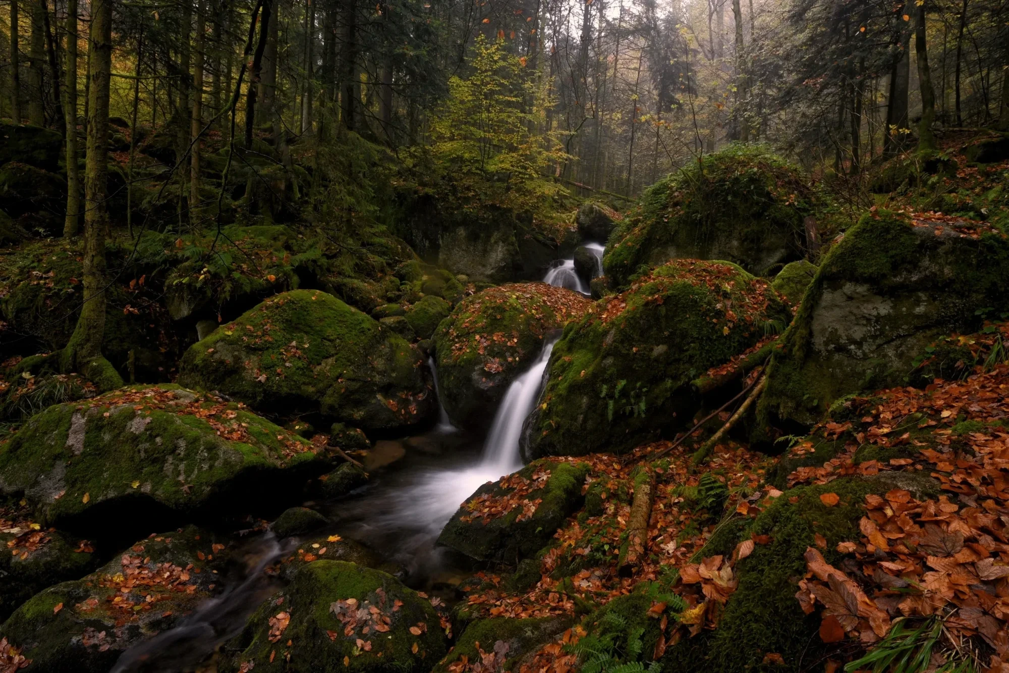 Landschaft – Gertelbachfälle,Schwarzwald, Wasserfall, Malerisch, Herbst