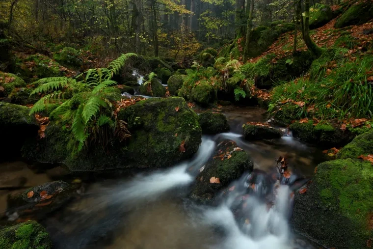 Landschaft – Gertelbachfälle,Schwarzwald, Wasserfall, Malerisch, Herbst
