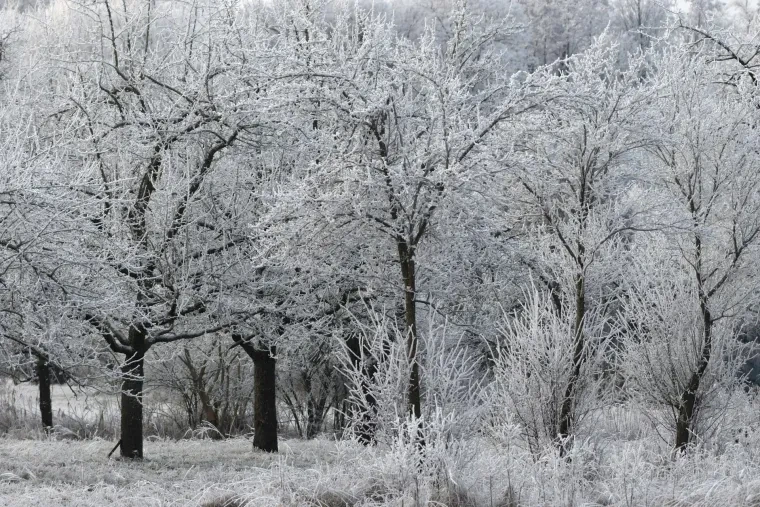 Landschaft – Ortenau, Wald, Malerisch,Idyllisch, Winter