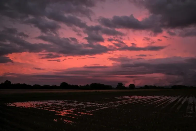 Landschaft – Ortenau, Wiese, Sonnenuntergang,Malerisch, Sommer