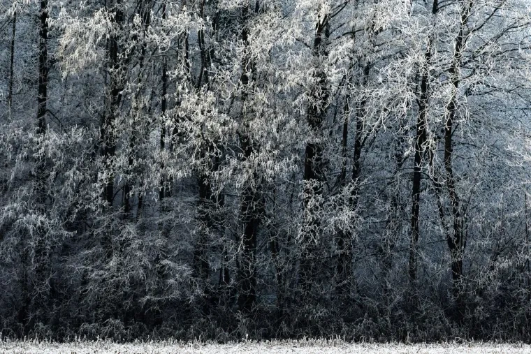 Landschaft – Ortenau, Wald, Malerisch,Nebel, Winter