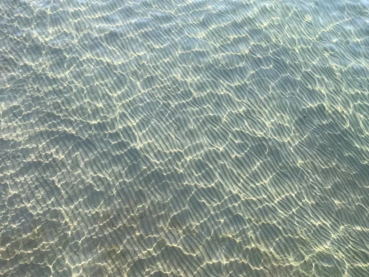 Landschaft – Ostsee, Küste,Meer, Morgenlicht,Malerisch, Spätsommer