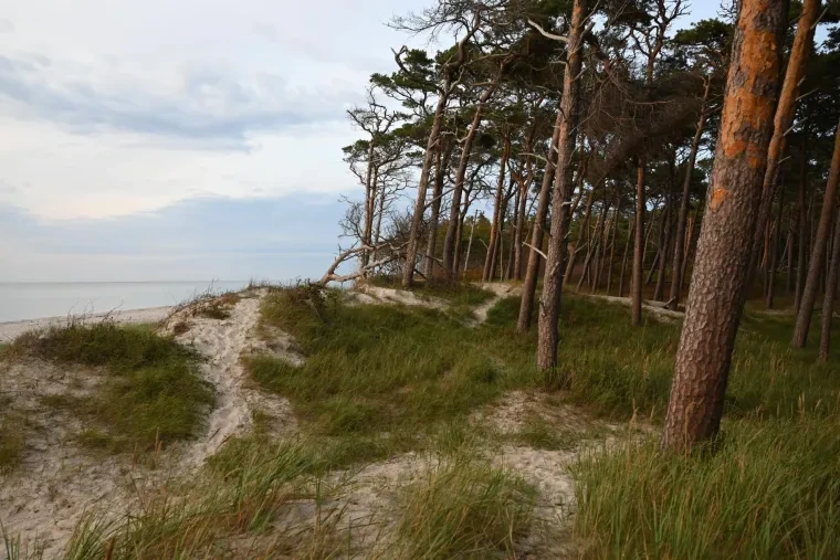 Landschaft – Ostsee, Küste,Dünen, Abendstimmung,Malerisch, Spätsommer