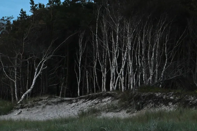 Landschaft – Ostsee, Küste,Dünen, Dämmerung,Minimalistisch, Spätsommer