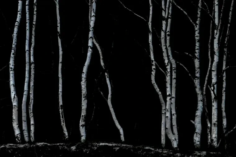 Landschaft – Ostsee, Küste,Wald, Abendstimmung,Malerisch, Spätsommer