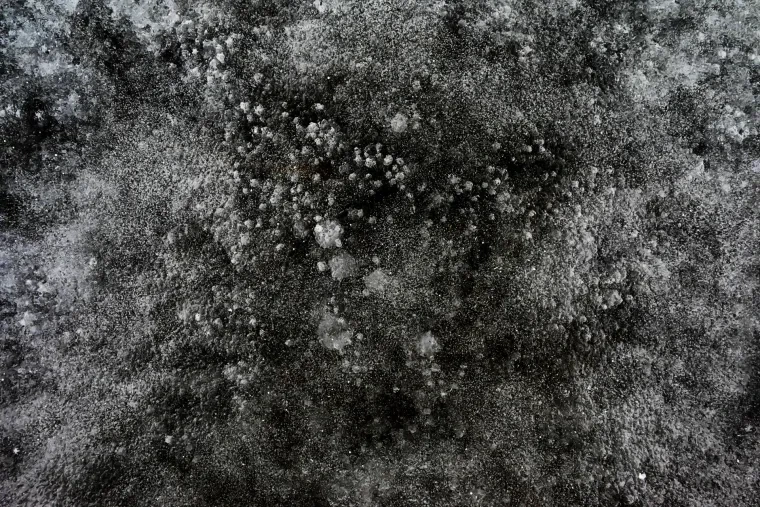 Atelier Natur – Ortenau, Winter