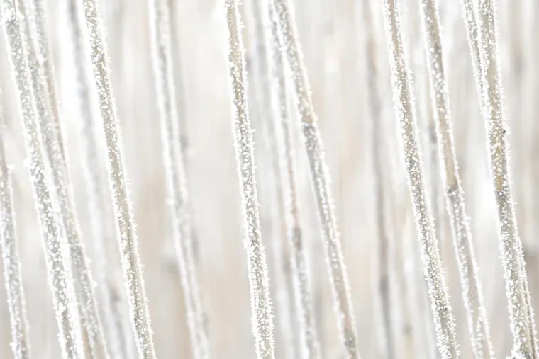 Atelier Natur – Ortenau, Winter