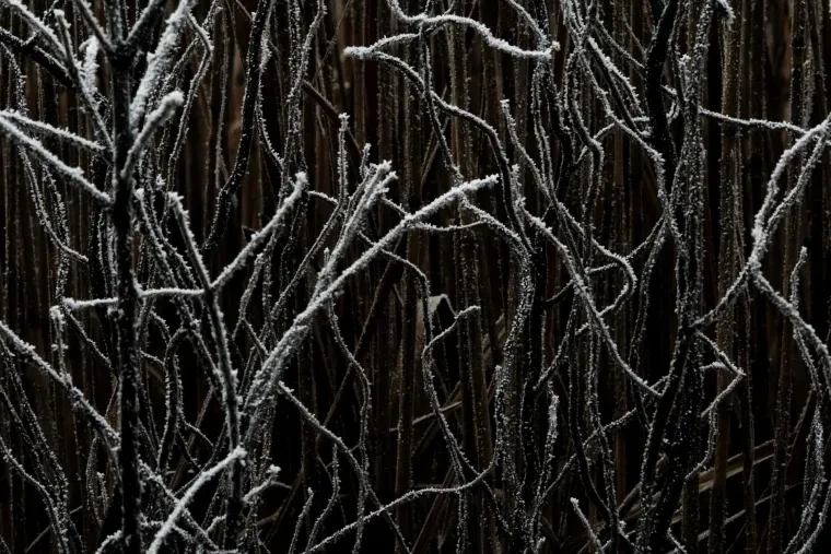 Atelier Natur – Ortenau, Winter