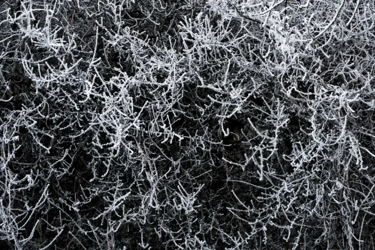 Atelier Natur – Ortenau, Winter