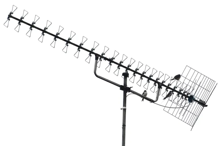 Vögel – Dolomiten, Schwalbe, Frühling