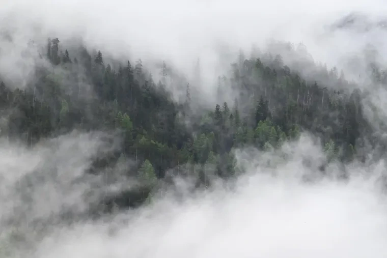 Landschaft – Dolomiten, Gebirge, Nebel, Frühling