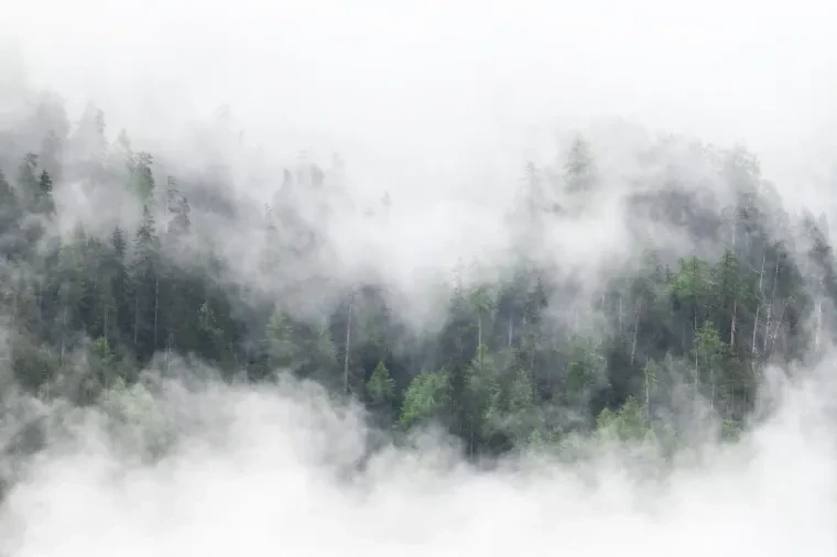Landschaft – Dolomiten, Gebirge, Nebel, Frühling