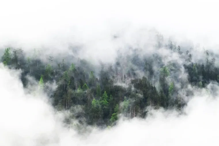 Landschaft – Dolomiten, Gebirge, Nebel, Frühling