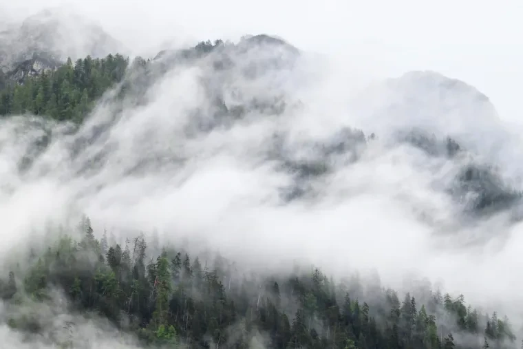 Landschaft – Dolomiten, Gebirge, Nebel, Frühling