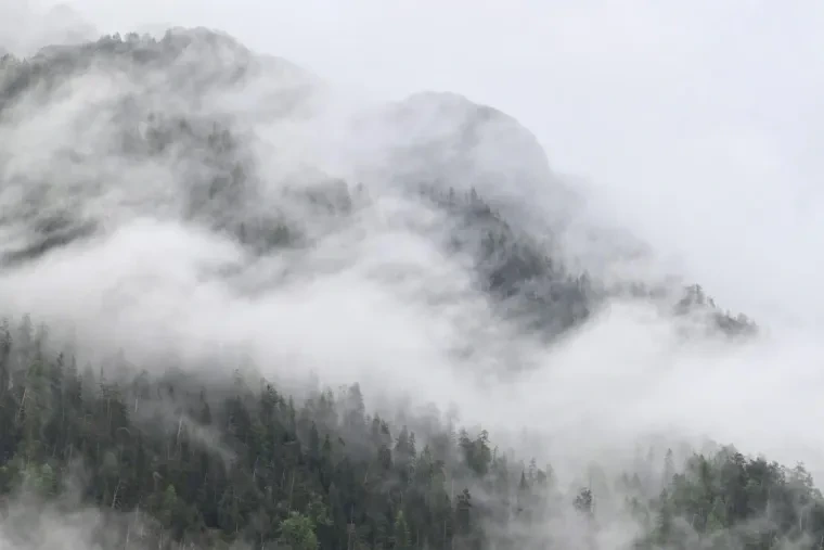 Landschaft – Dolomiten, Gebirge, Nebel, Frühling