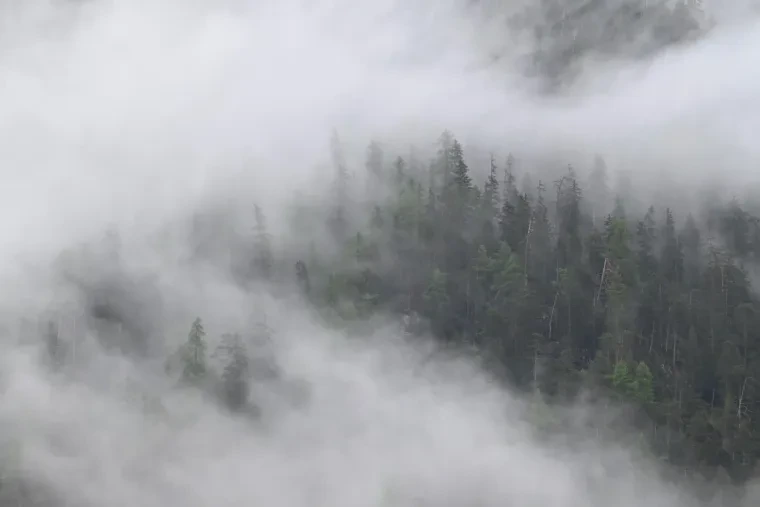 Landschaft – Dolomiten, Gebirge, Nebel, Frühling