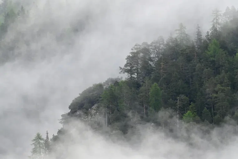 Landschaft – Dolomiten, Gebirge, Nebel, Frühling