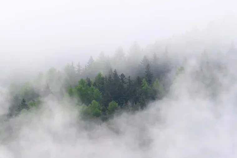 Landschaft – Dolomiten, Gebirge, Nebel, Frühling