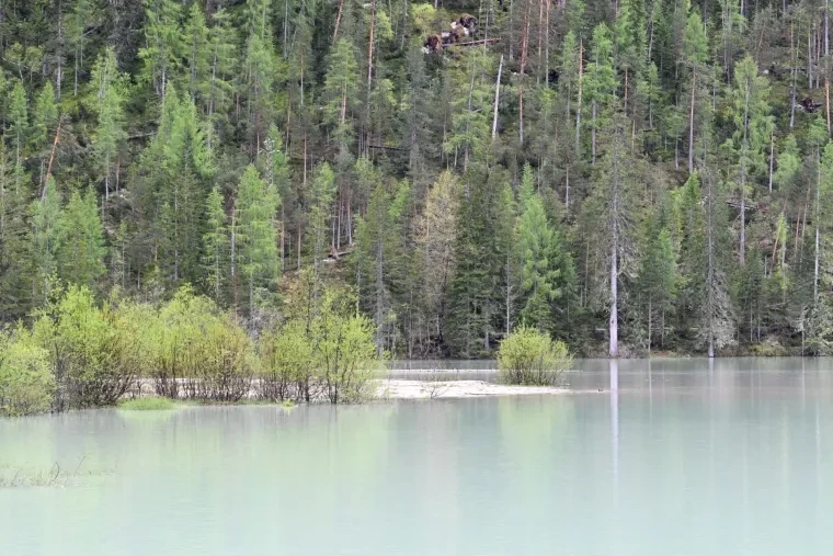 Landschaft – Dolomiten, See, Malerisch, Frühling
