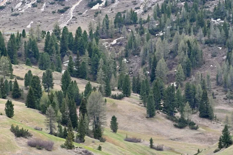 Landschaft – Dolomiten, Wiese, Malerisch, Frühling